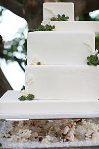 White Coral Geometric Fondant Wedding Cake.