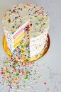 Surprise! Rainbow Cake
