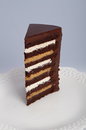 7 Layer Chocolate Peanut Butter 